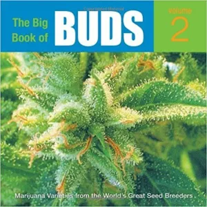 Buds 2