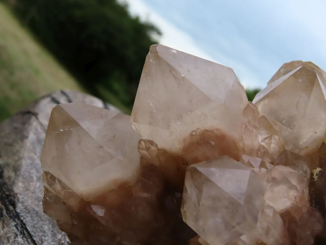 Natural White Phantom Cascading Smokey Quartz Cluster x 1 From Luena, Congo