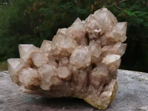 Natural White Phantom Cascading Smokey Quartz Cluster x 1 From Luena, Congo