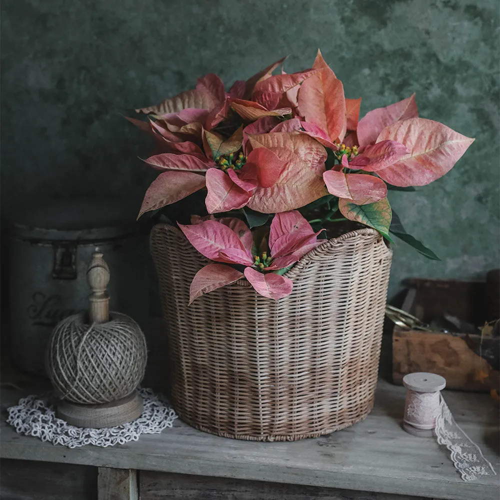 Ruby Rattan Basket