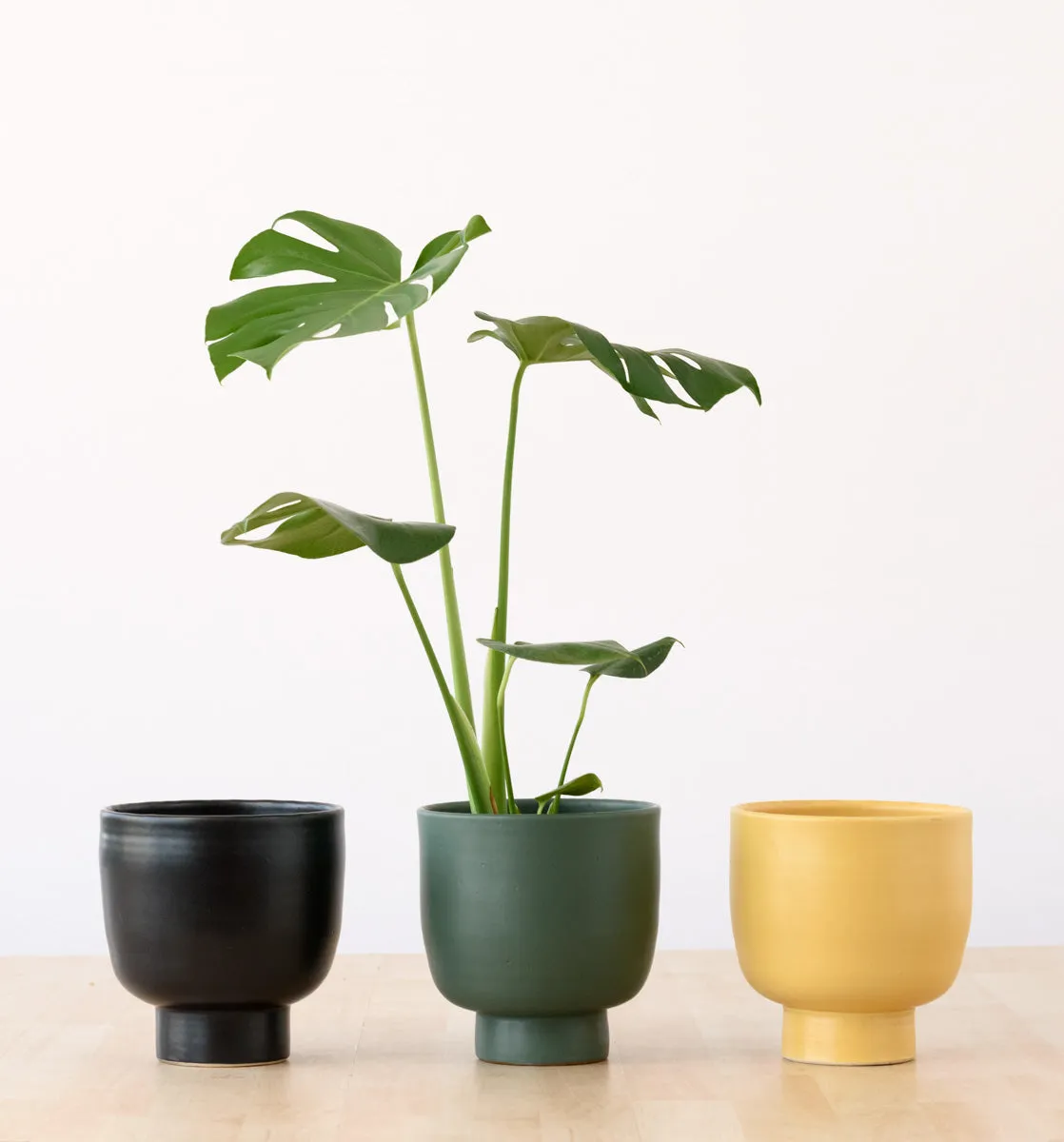 Shing Plinth Planter - Mustard Yellow